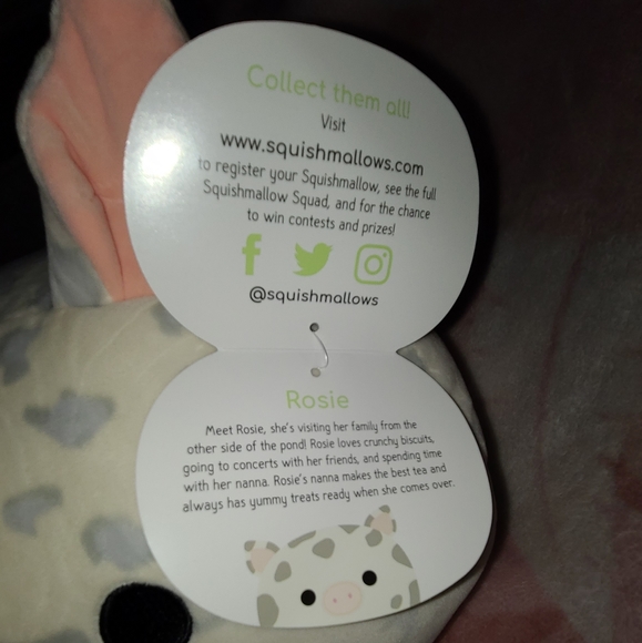 BNWT Rosie the Pig - Picture 3 of 4